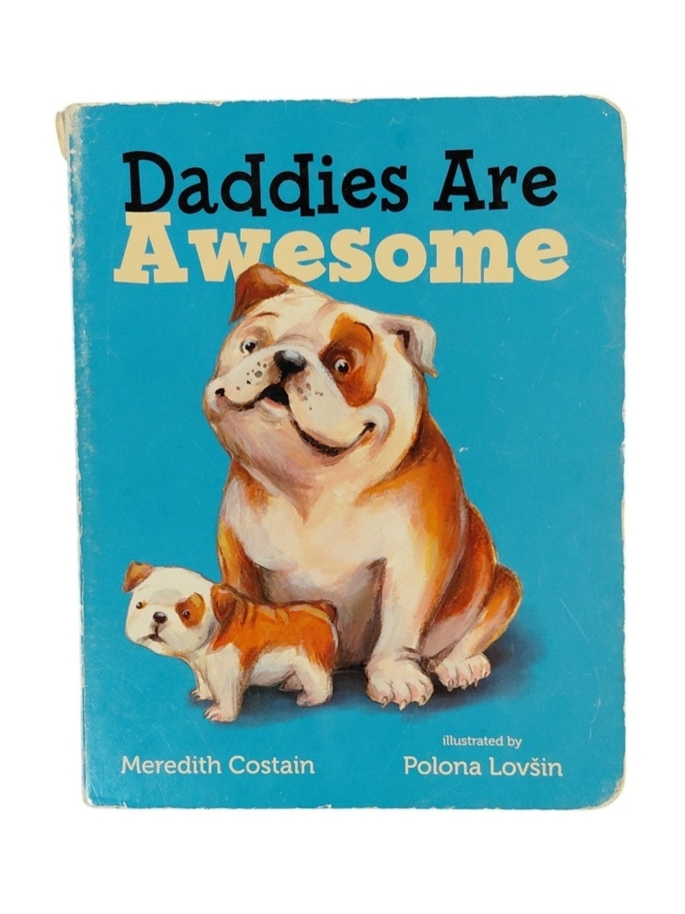 Meredith Costain "Daddies Are Awesome" Blue Dog Board Book